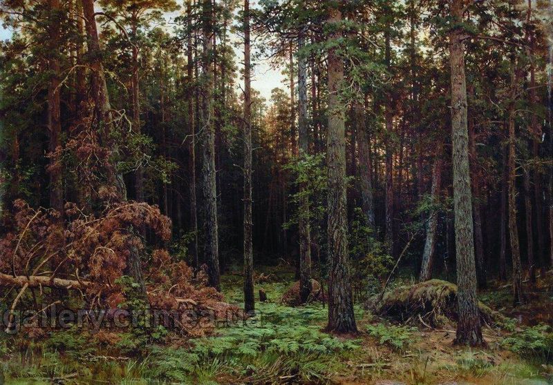 Сосновый лес.  Шишкин Иван  Иванович